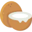 Coconut icon 64x64