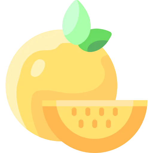 Orange icon