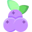Blueberries icon 64x64