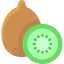 Kiwi Symbol 64x64
