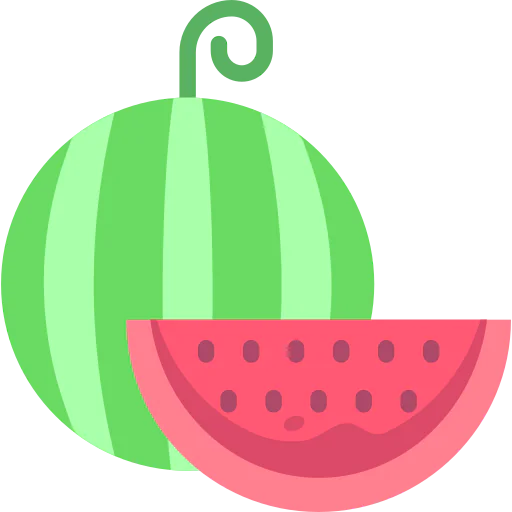 Watermelon icon