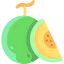 Дыня иконка 64x64