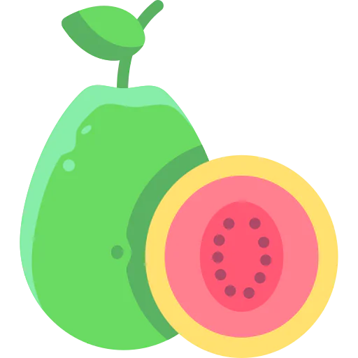 Guava icon