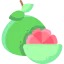 Grapefruit Ikona 64x64
