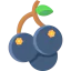 Blackcurrant icon 64x64