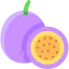 Passion fruit アイコン 64x64