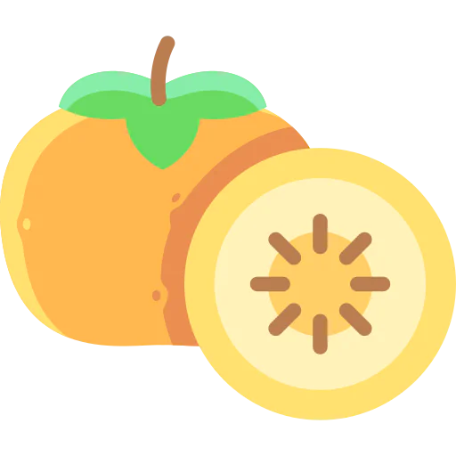 Persimmon icon