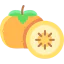 Persimmon 상 64x64
