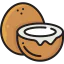Coconut icon 64x64