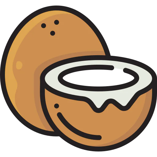 Coconut icon