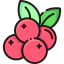 Cranberry 상 64x64
