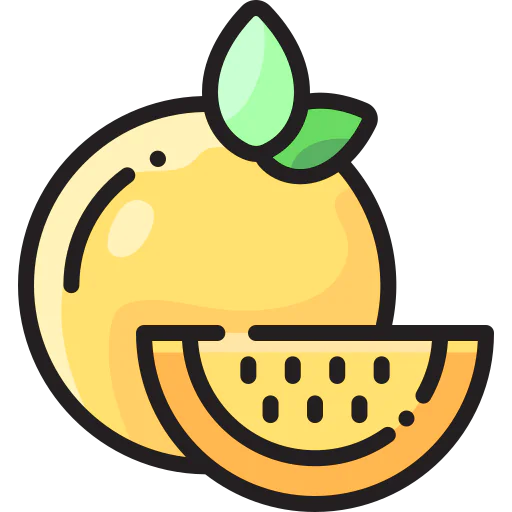 Orange icon