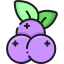 Blueberries icon 64x64