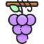 Grapes icon 64x64