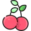Cherry icon 64x64