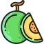 Melon icon 64x64