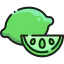 Lime icon 64x64