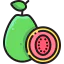 Guava icon 64x64