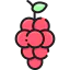 Grapes icon 64x64