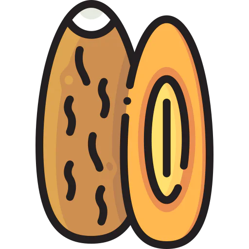 Dates icon