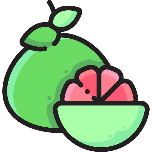 Grapefruit icon