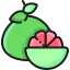Grapefruit Ikona 64x64