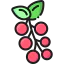 Berries icon 64x64