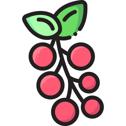 Berries icon