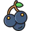 Blackcurrant icon 64x64