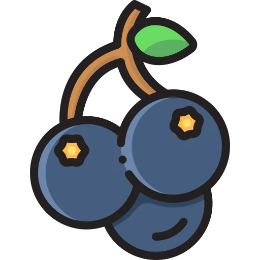 Blackcurrant icon