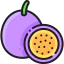 Passion fruit アイコン 64x64