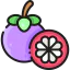 Mangosteen icon 64x64