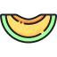 Melon icon 64x64