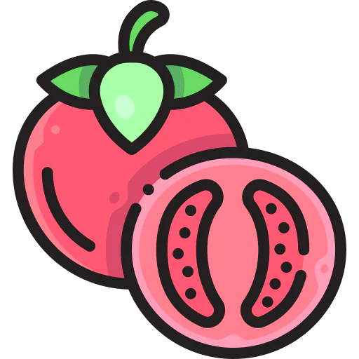 Tomato icon