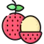 Lychee icon 64x64