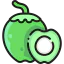 Coconut icon 64x64