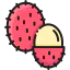 Rambutan icon 64x64
