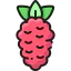 Raspberries icon 64x64