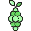 Grapes icon 64x64