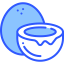 Coconut icon 64x64