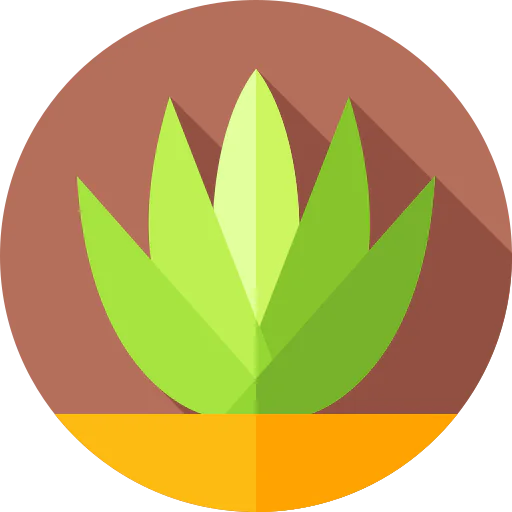 Agave icon