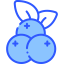 Blueberries icon 64x64