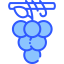 Grapes icon 64x64