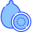 Kiwi icon 64x64