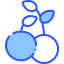 Cherry icon 64x64