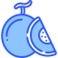 Melon icon 64x64