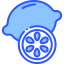 Lemon icon 64x64