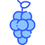 Grapes icon 64x64