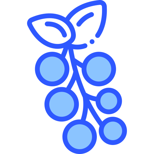 Berries icon
