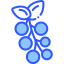 Berries icon 64x64